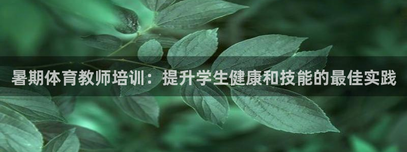 耀世娱乐在线登录官网入口网址：暑期体育教师培训：提升