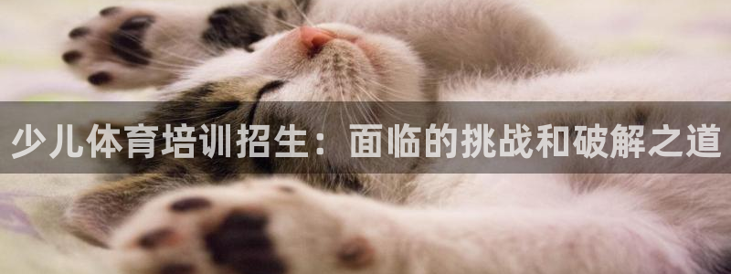 耀世平台代理注册登录失败：少儿体育培训招生：面临的挑