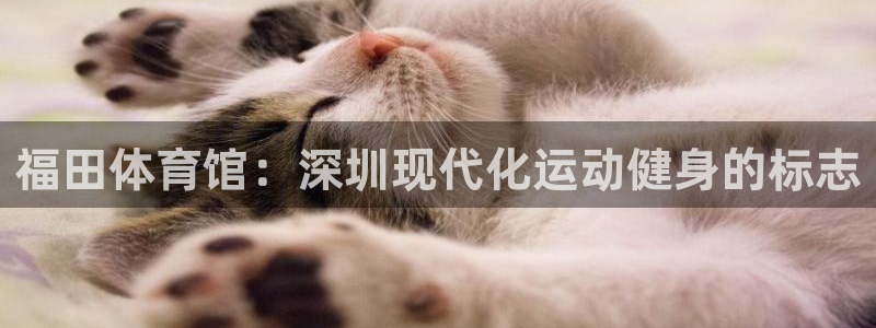 耀世娱乐联 411O31 娱乐：福田体育馆：深圳现代