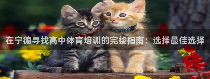 耀世登场一样的词：在宁德寻找高中体育培训的完整指南：