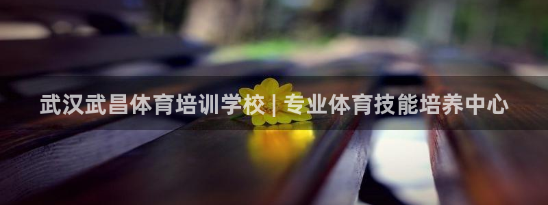 耀世娱乐是不是很黑的：武汉武昌体育培训学校 | 专业体育技能