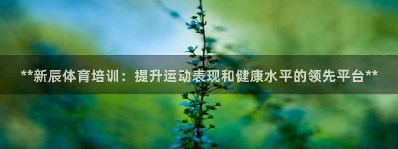耀世盛典手游下载：**新辰体育培训：提升运动表现和健