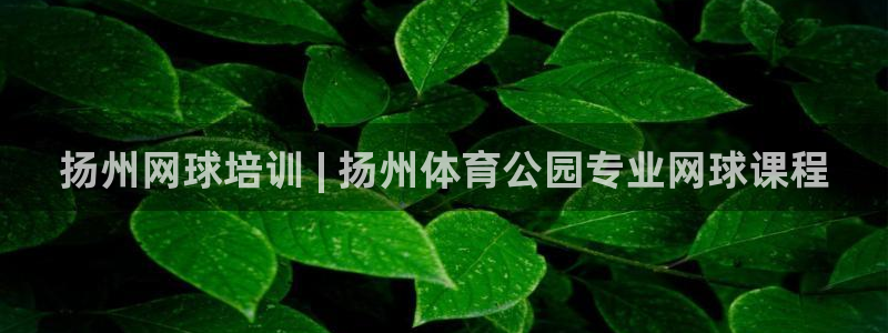 耀世天下的网名是什么意思啊男生：扬州网球培训 | 扬