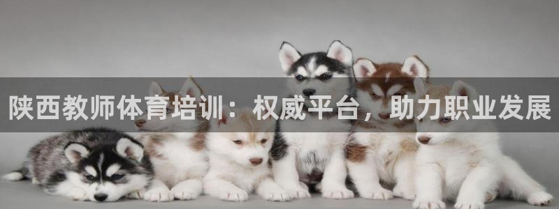 耀世娱乐骗局是真的吗：陕西教师体育培训：权威平台，助