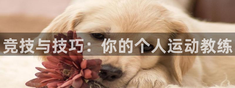 耀世娱乐电 5O6917 娱乐
