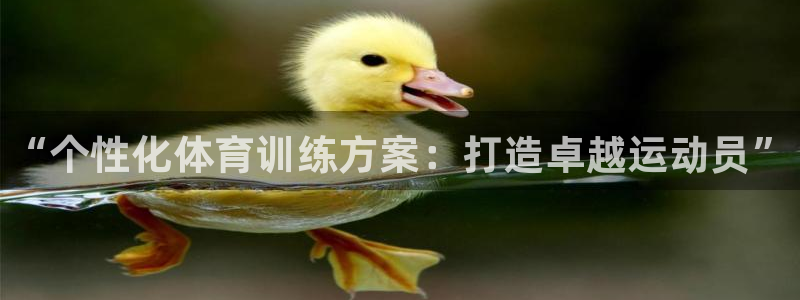 耀世娱乐辅助软件下载安装