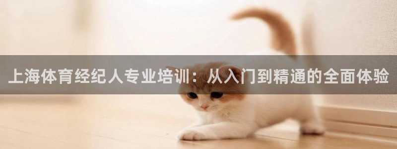 耀世娱乐app下载官网苹果