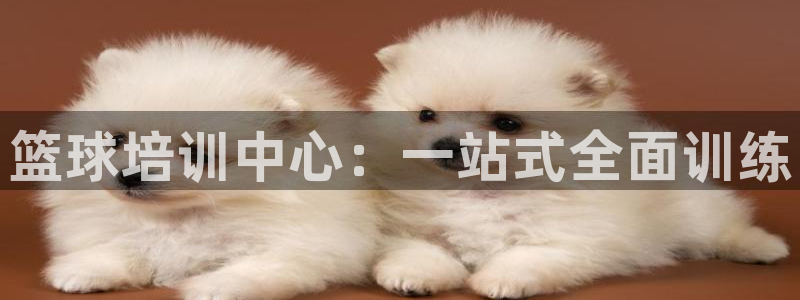 耀世娱乐app下载安装手机版：篮球培训中心：一站式全