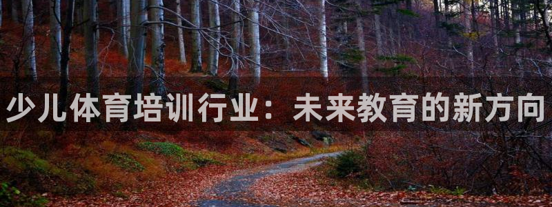 耀世娱乐app下载官网苹果：少儿体育培训行业：未来教育的新方