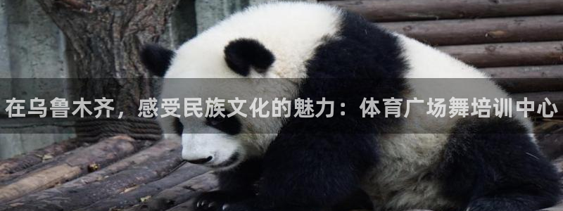 哪吒s耀世版价格