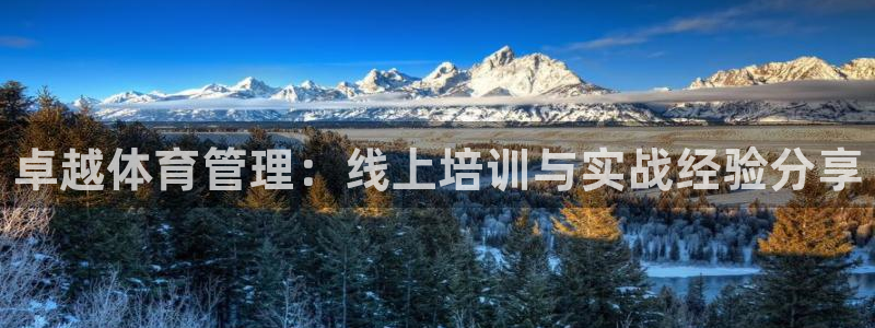 耀世开盘：卓越体育管理：线上培训与实战经验分享